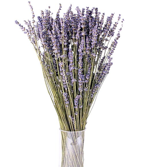 LAVENDER SUPER BLUE - Picture 1 of 2